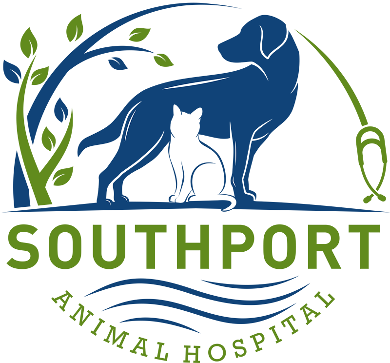 Southport Animal Hospital